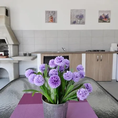 In With Swimming Pool *