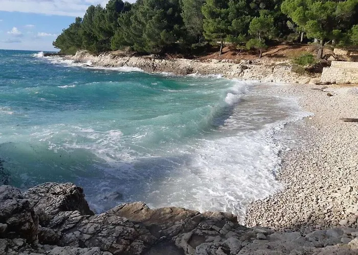 别墅 In With Swimming Pool 普拉